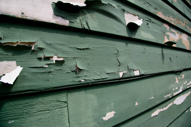 Best Shed Removal  in Hastings, PA